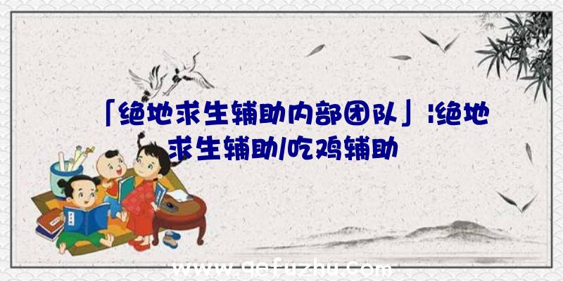 「绝地求生辅助内部团队」|绝地求生辅助/吃鸡辅助